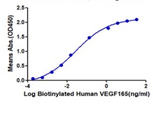 Flt1 bioactivity.jpg